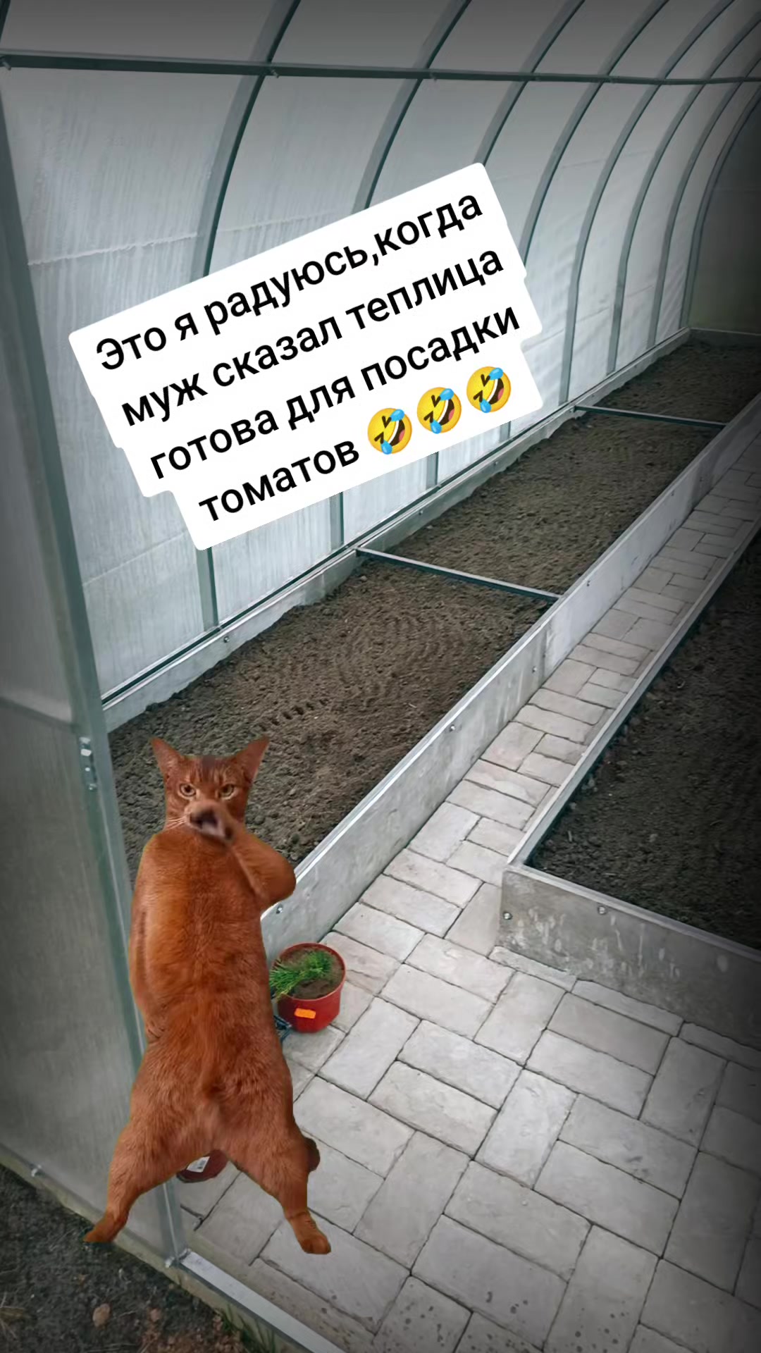 @Оленька