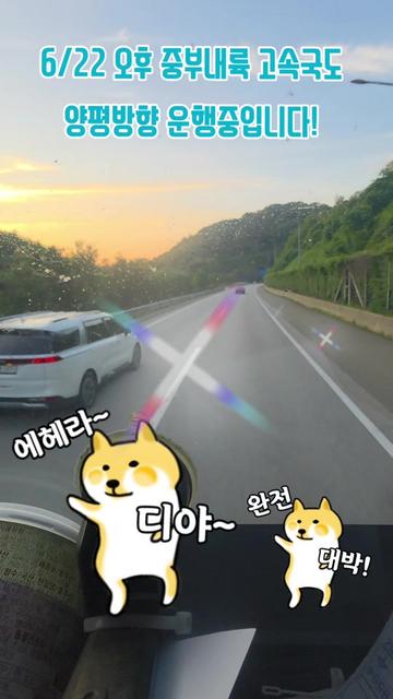 @🌺시라소니[본]🌺