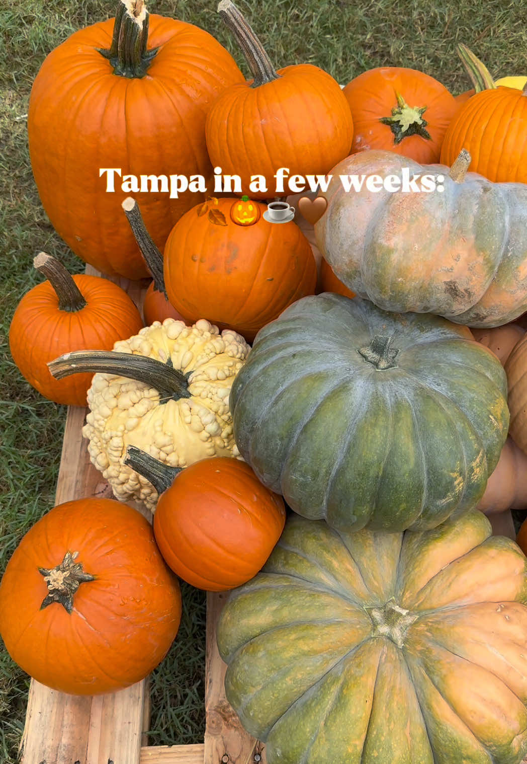 @Tampa To-Dos ✨
