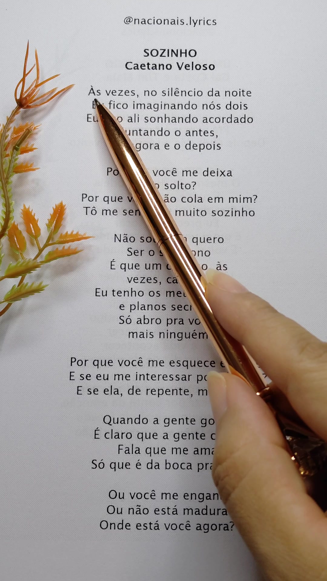 @nacionais lyrics