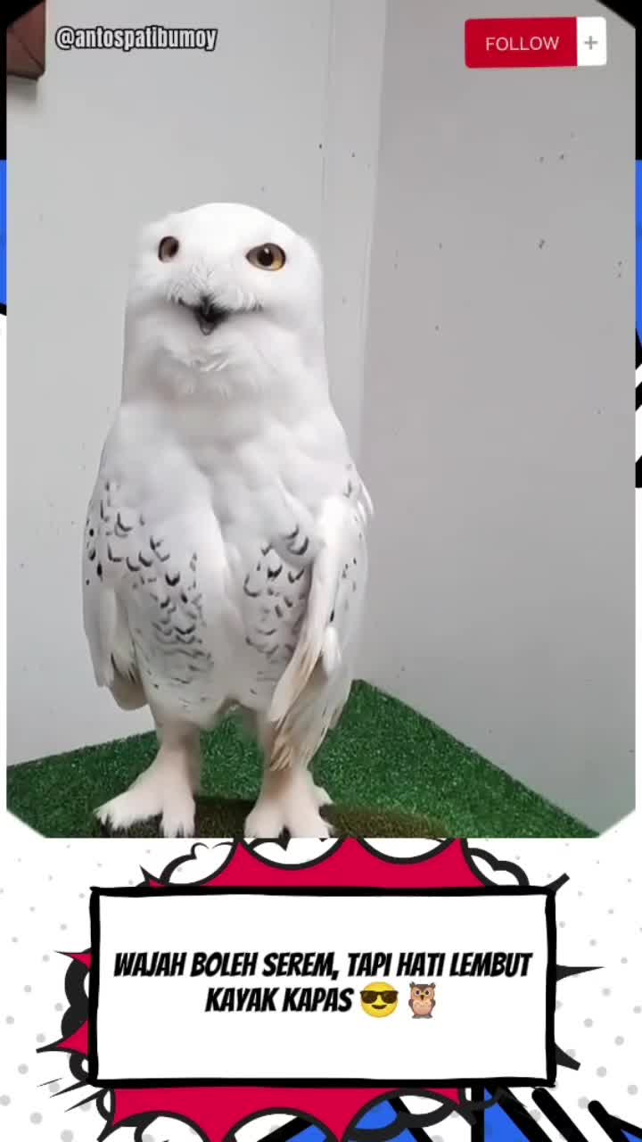 @ANEKA FAKTA HEWAN