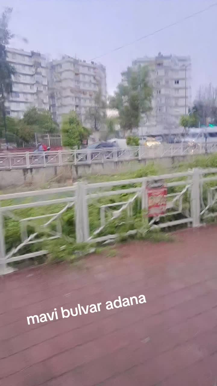 @Jale güll
