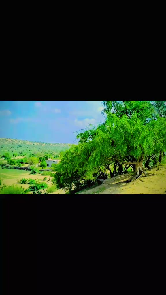 @Mukhtiyar Bhatti