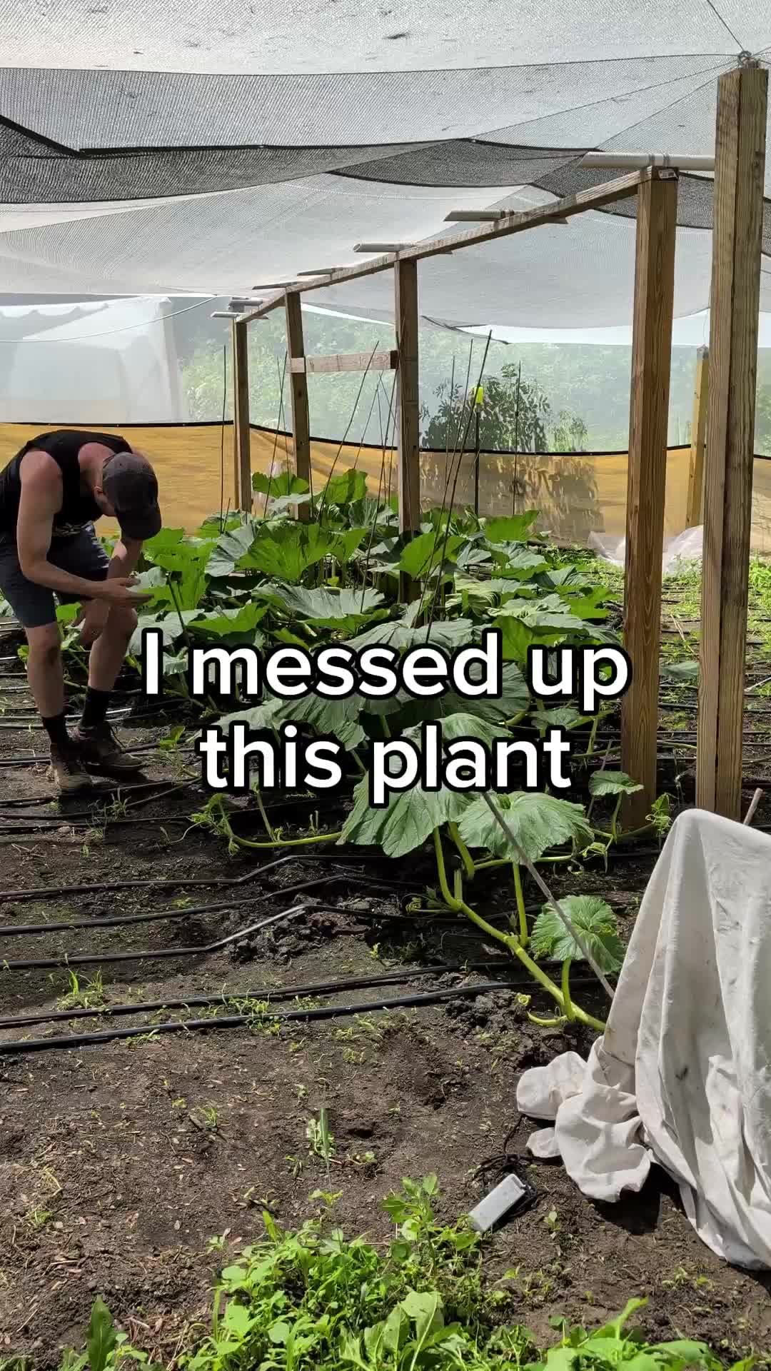 @bigpumpki