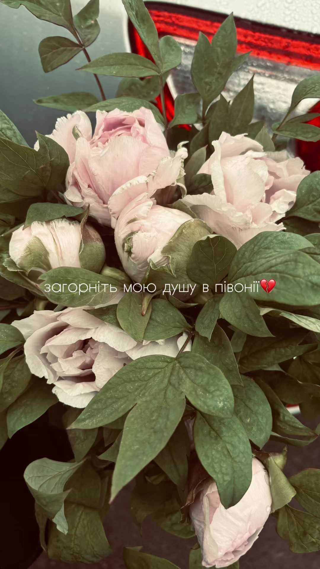 @Ксениця🧸
