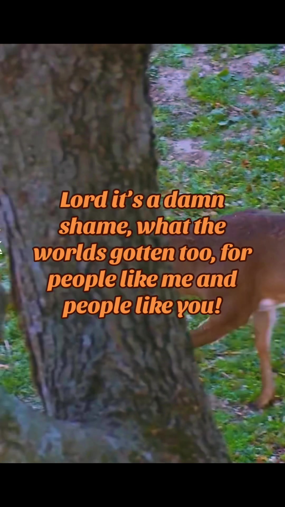 @🦌 Megabucks Outdoors 🦌