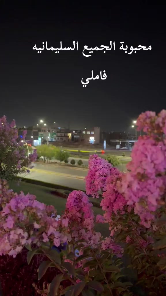 @السليمانيه مدينتي
