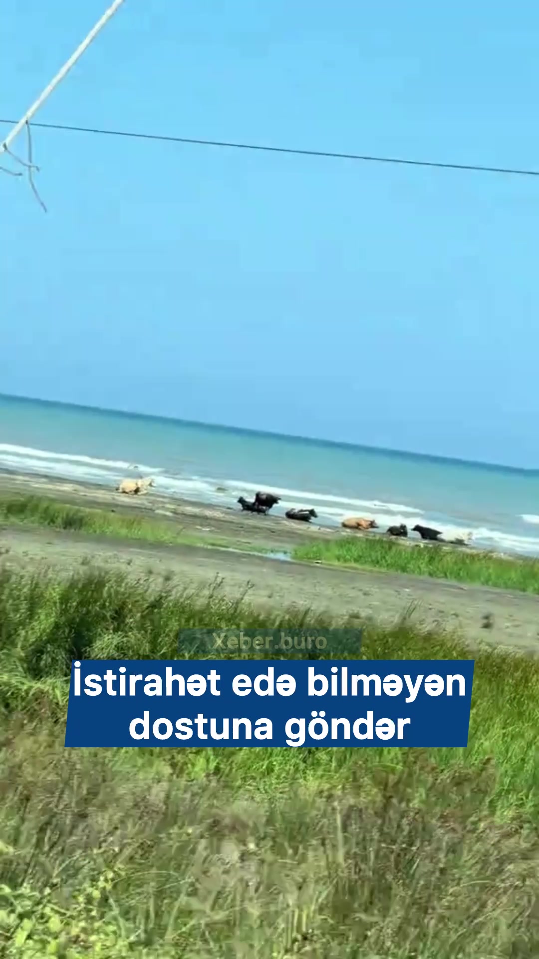 @Asad🇦🇿