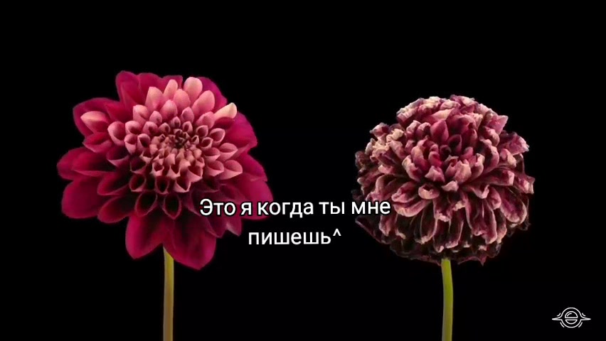 @Xz)