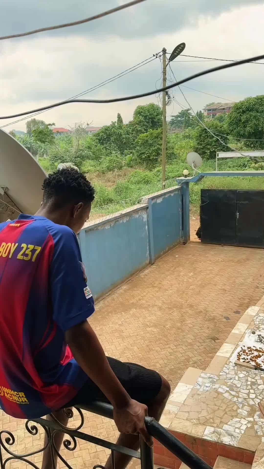 @Royal Boy 237