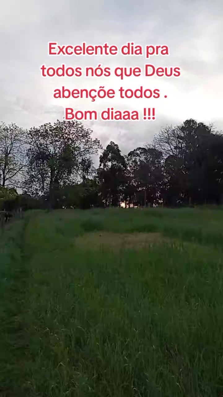 @Marlusa Ferreira Moreira
