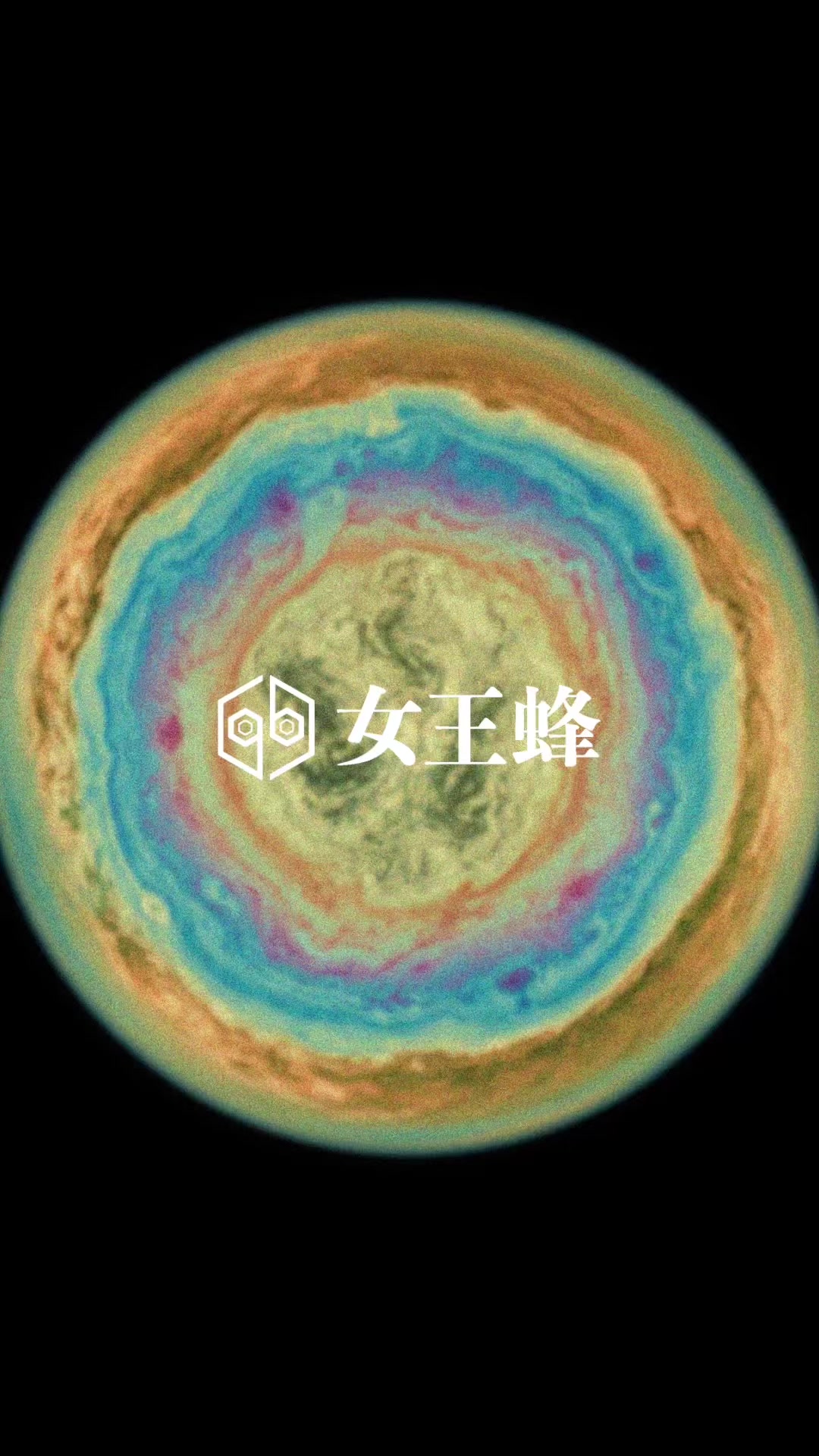 @女王蜂