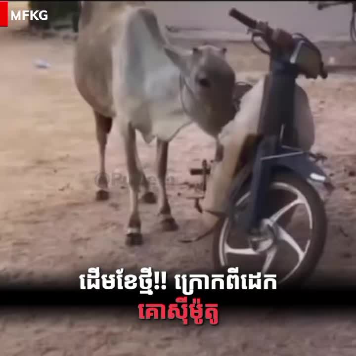 @ដេត - dethd.