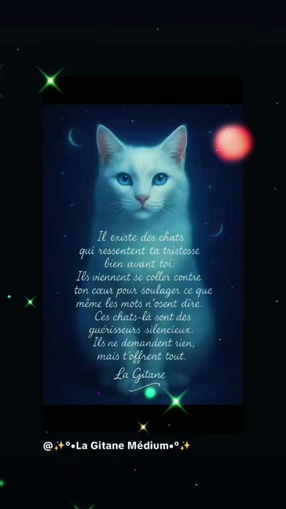@✨️La Gitane Intuitive🌜