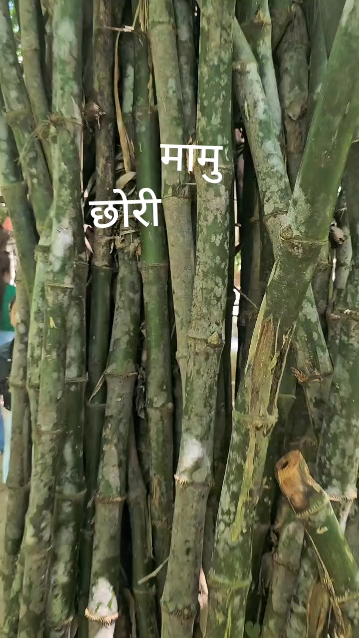 @Sunita Sonu