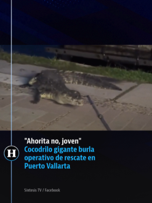 @elheraldodemexico