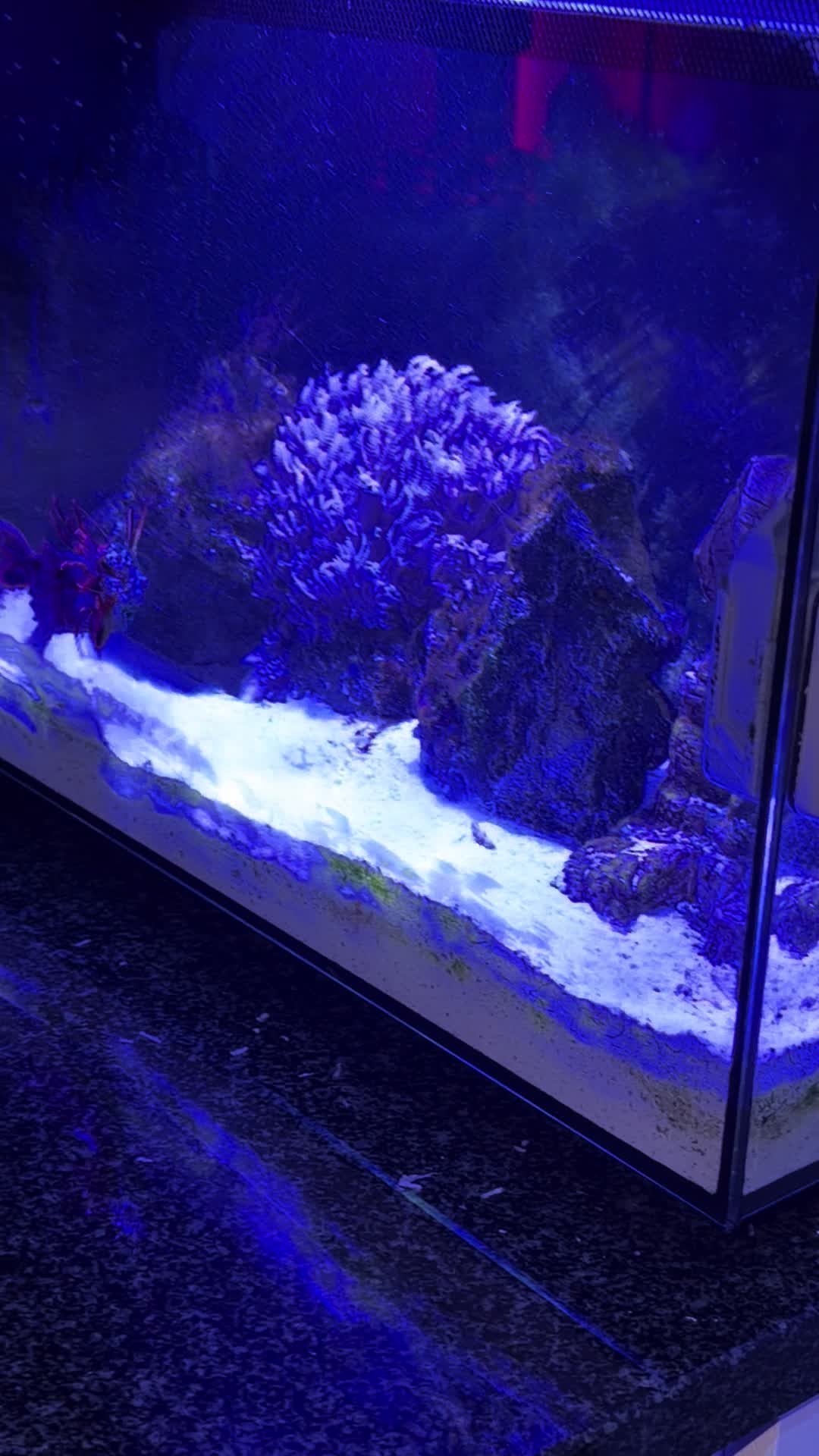 @OnlyFins