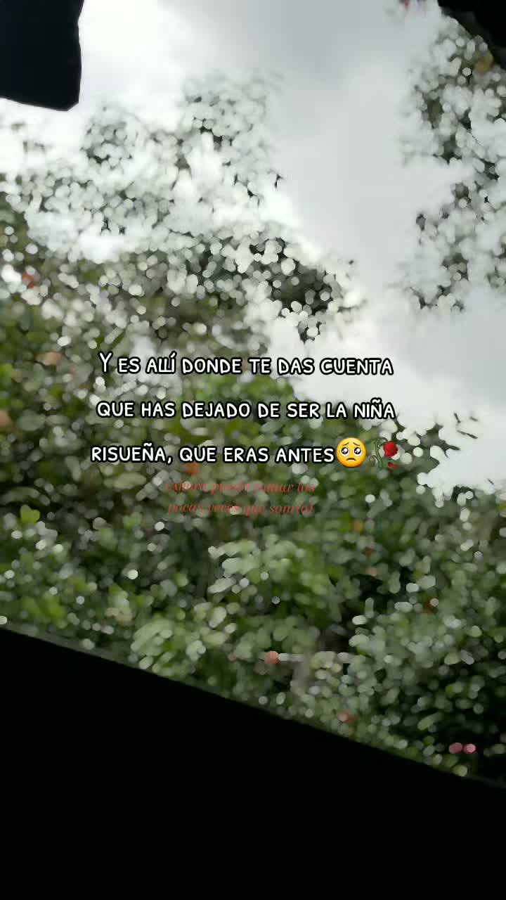 @Ale🐢