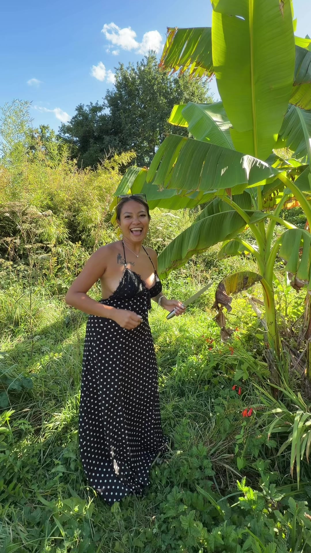 @LadyKitten ❤️🐈