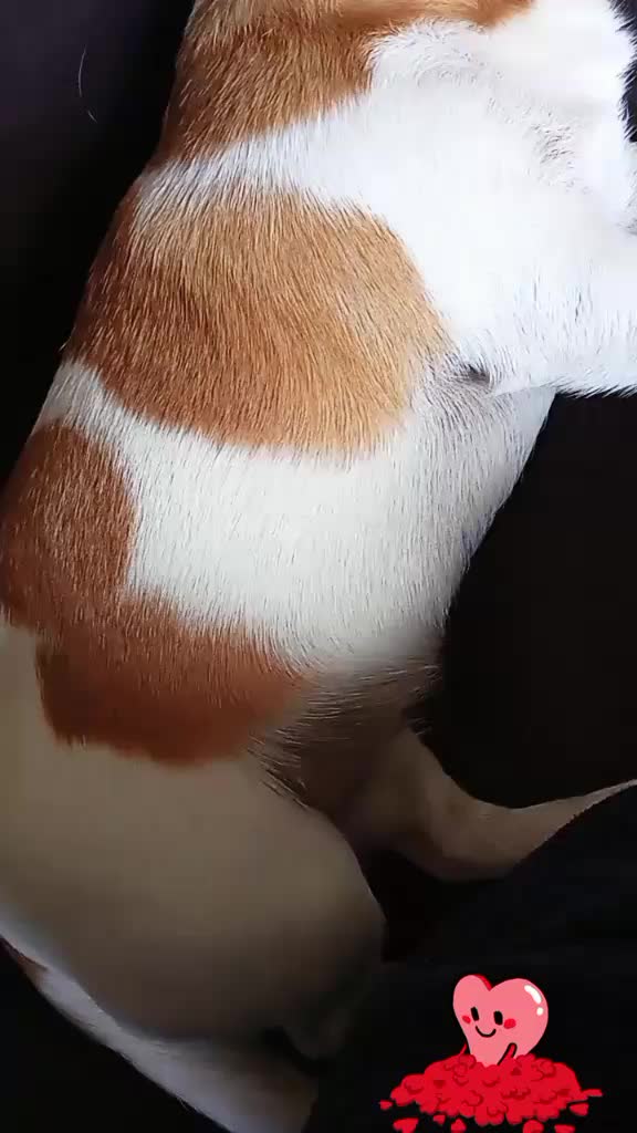 @Елена