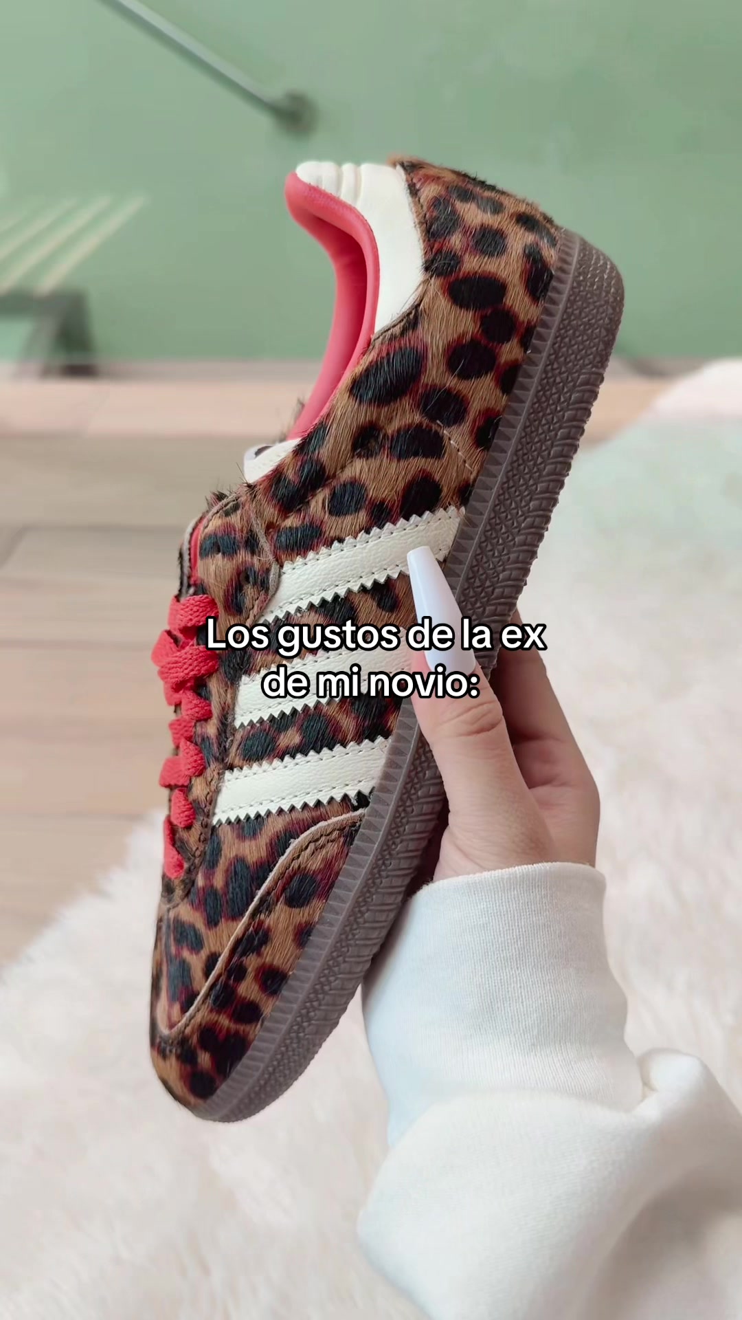 @absolute.mx_