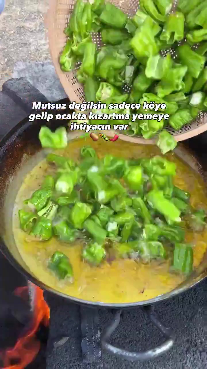 @Muğla Geyik