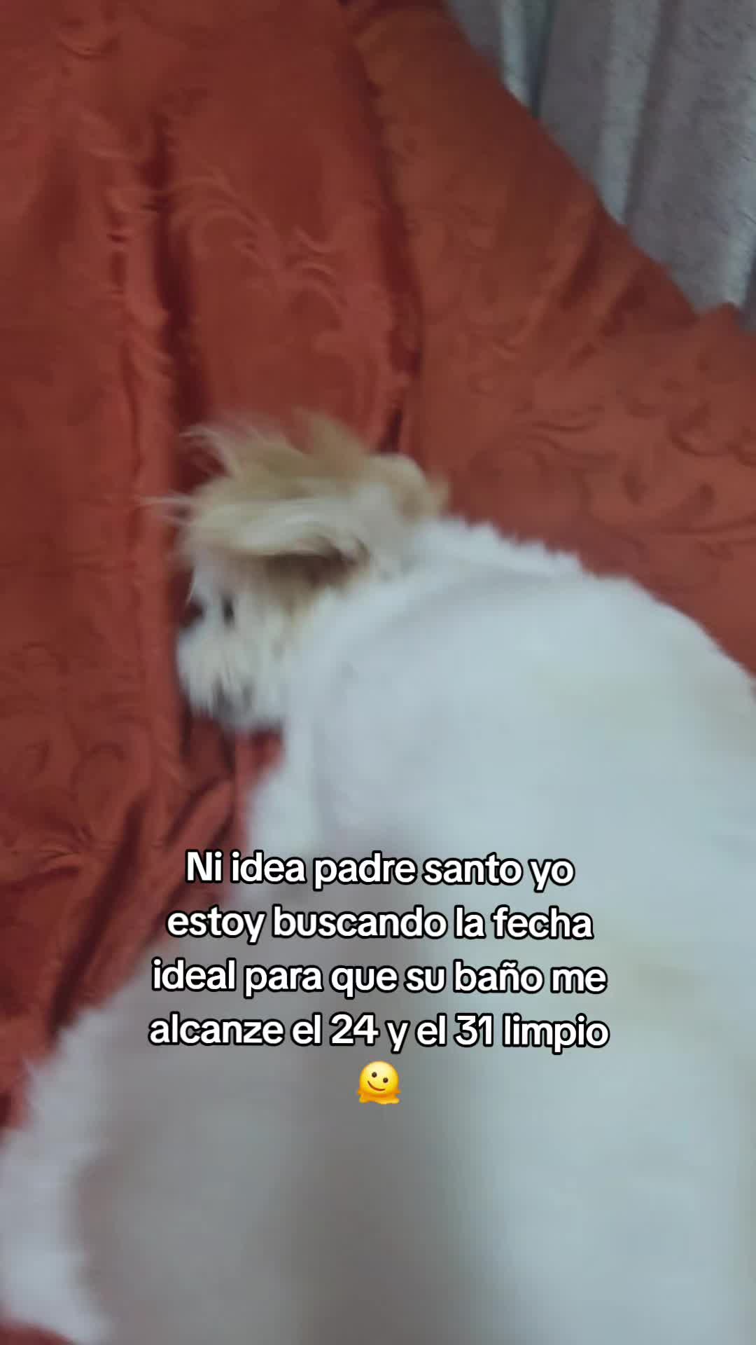 @bren_m_r