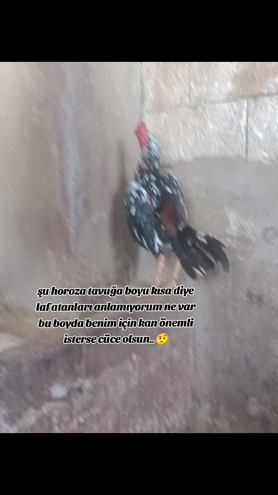 @horozcu_31