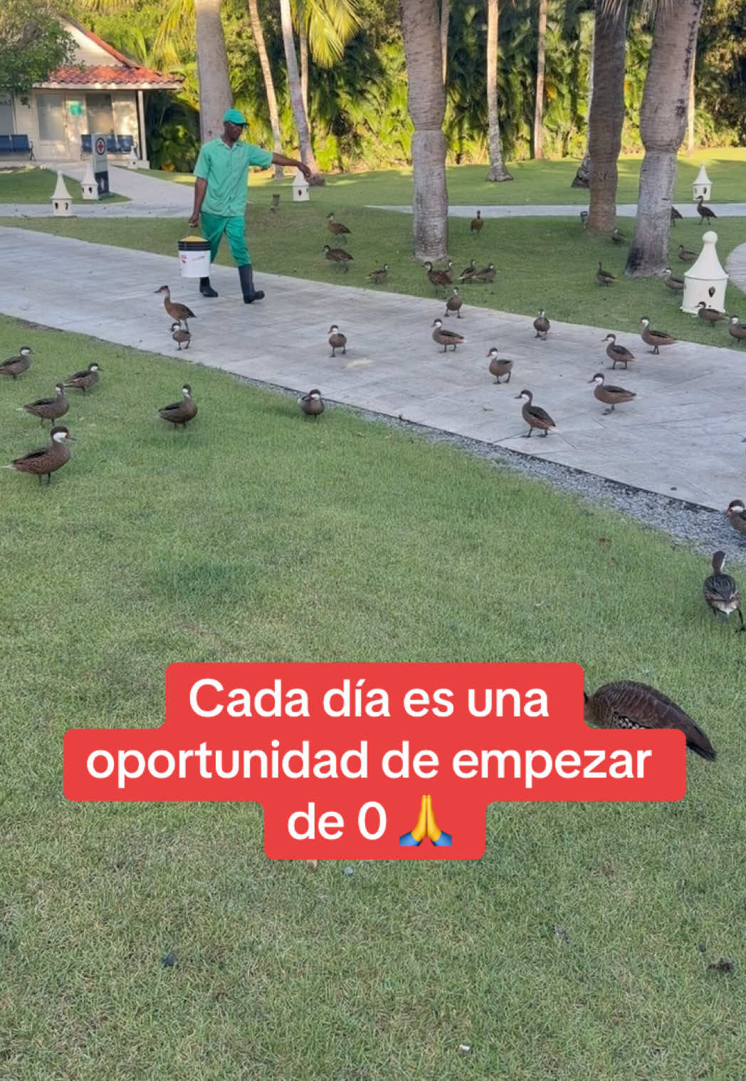 @Jorge Rodriguez