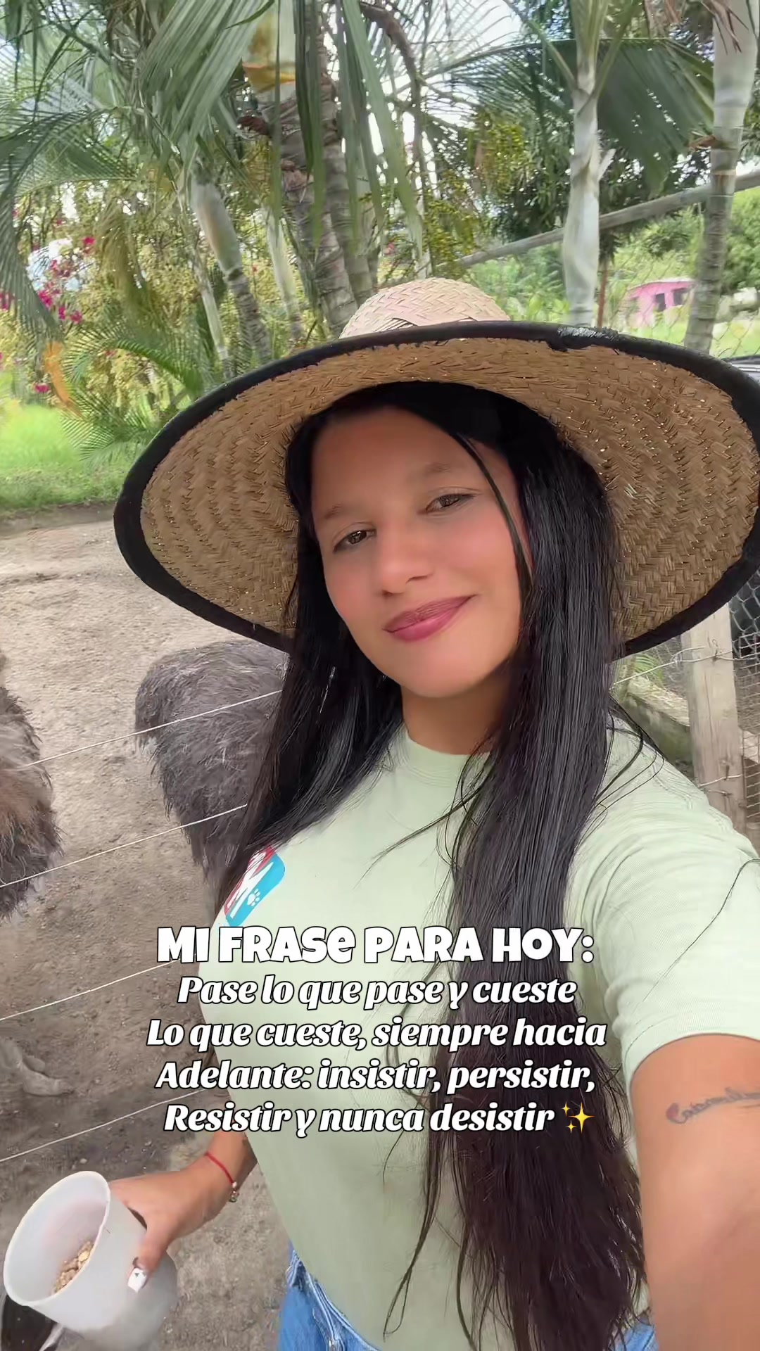 @Granjamascotalandiayaracuy