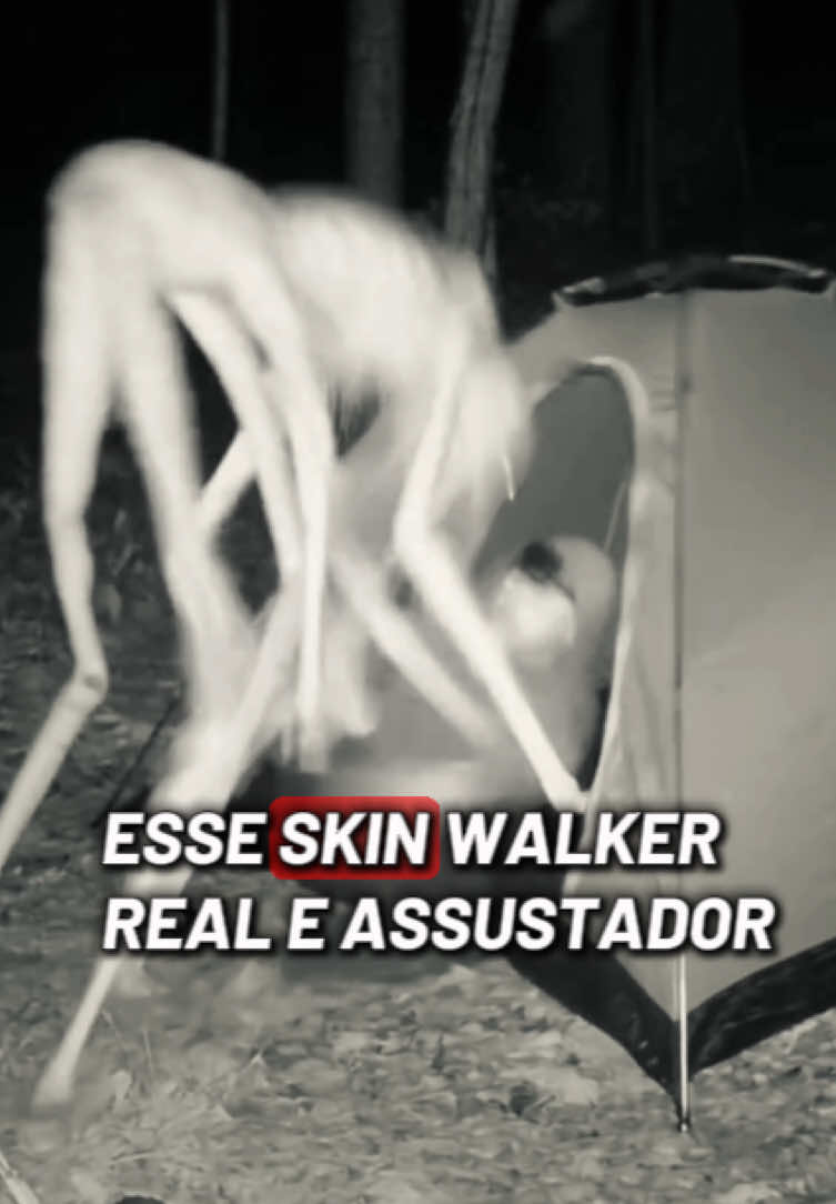 @felpzoficial
