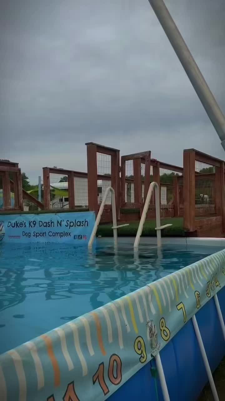 @Dukes K9 Dash n Splash