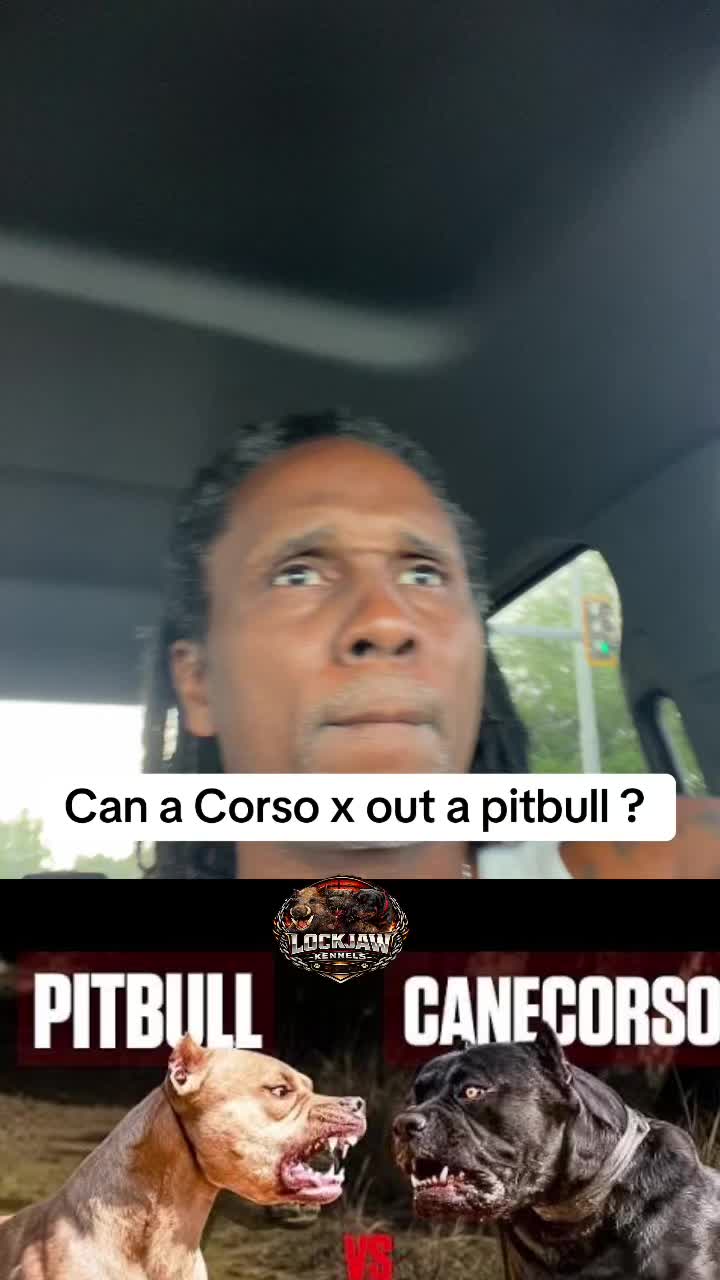 @lockjawkennelfla