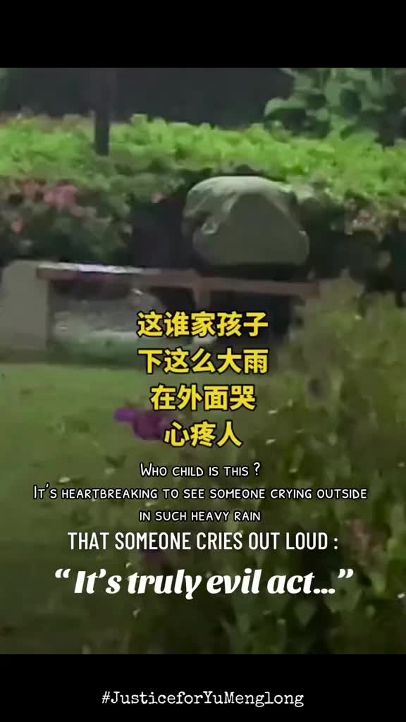 @于朦胧🍋