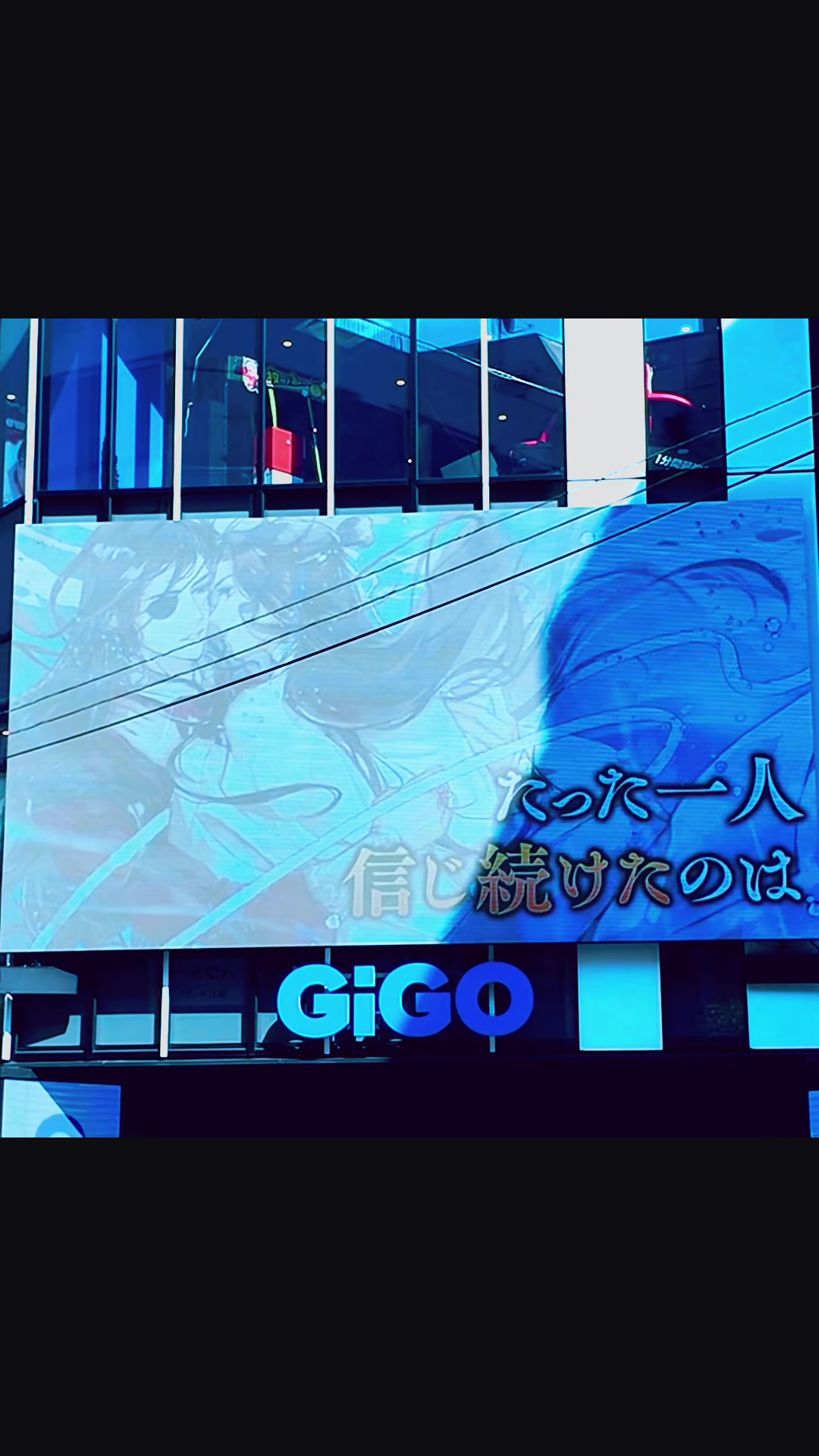 @Lilly fried chicken🍗tgcf/天官赐福
