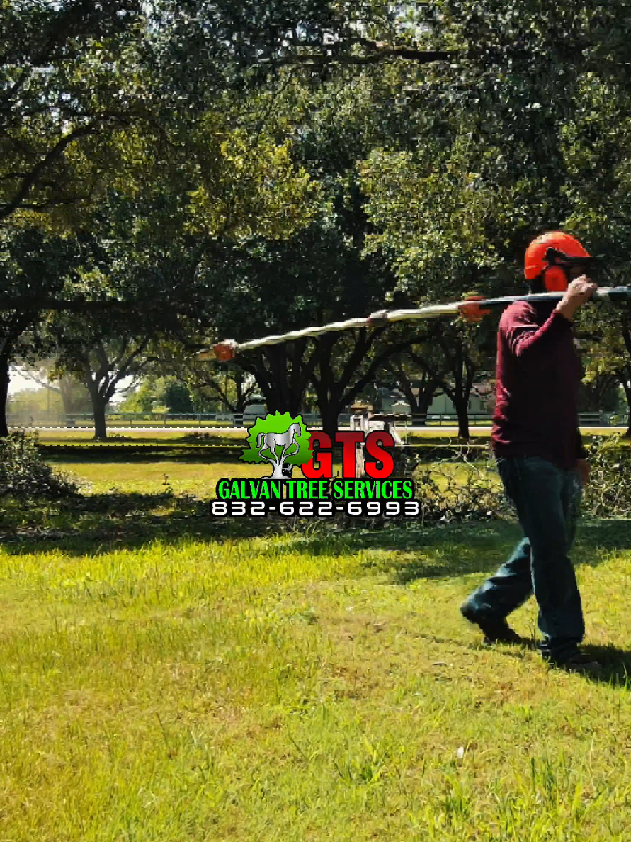 @GTS Galvan Tree Services LLC