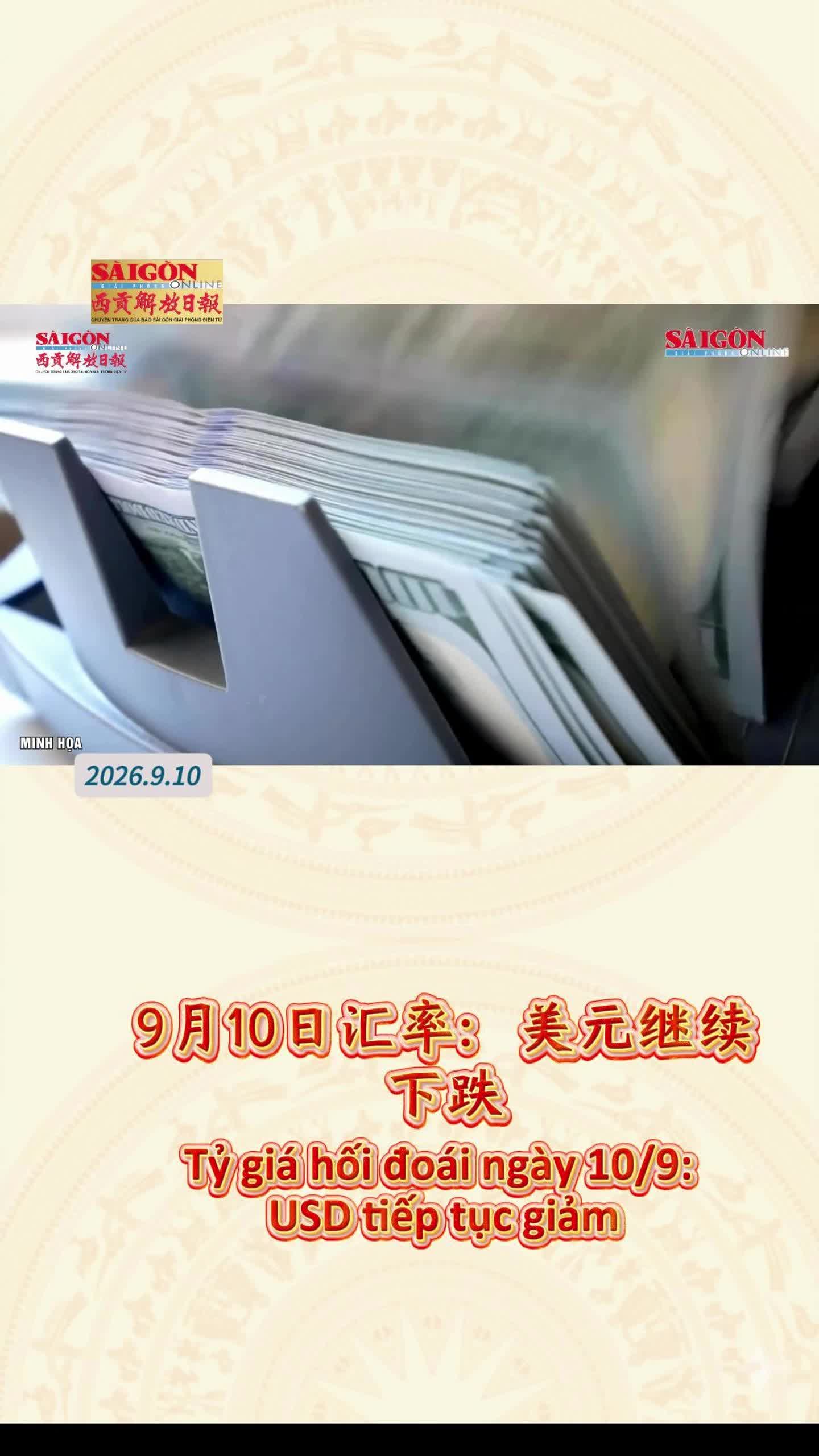 @西贡解放日报-B&aacute;o SGGP bản Hoa văn