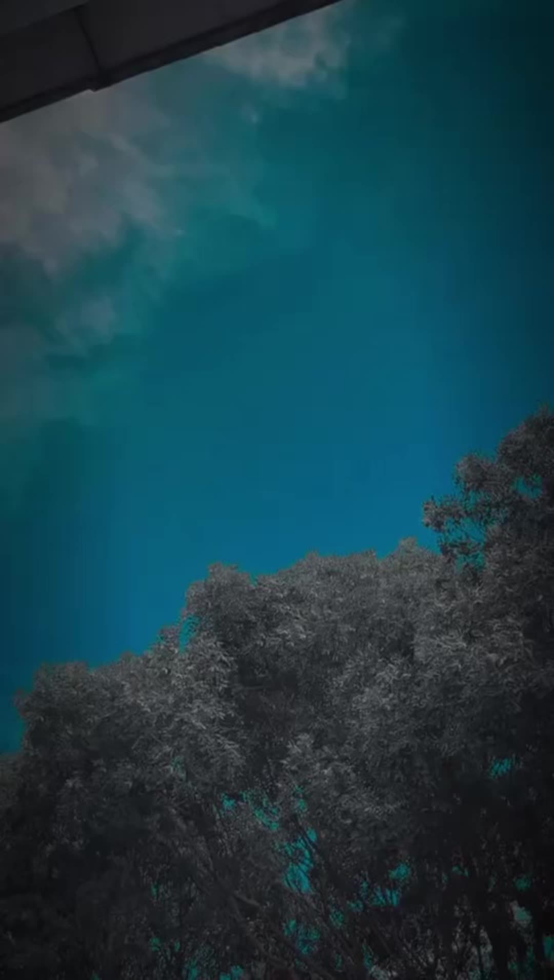 @𝓐𝔀𝓮𝓴_𝓳𝓪𝔂𝓫𝓮𝓮🐊🤍