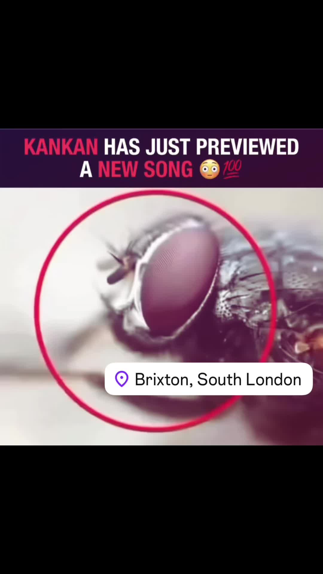 @brixtonhoodfails2010