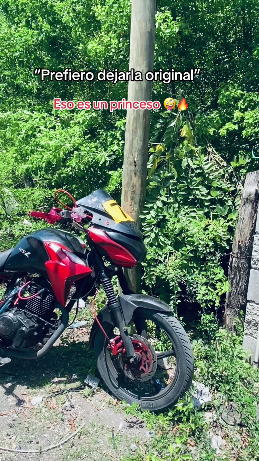 @𝑨 𝑳 𝑬 𝑿 •🚀🫨