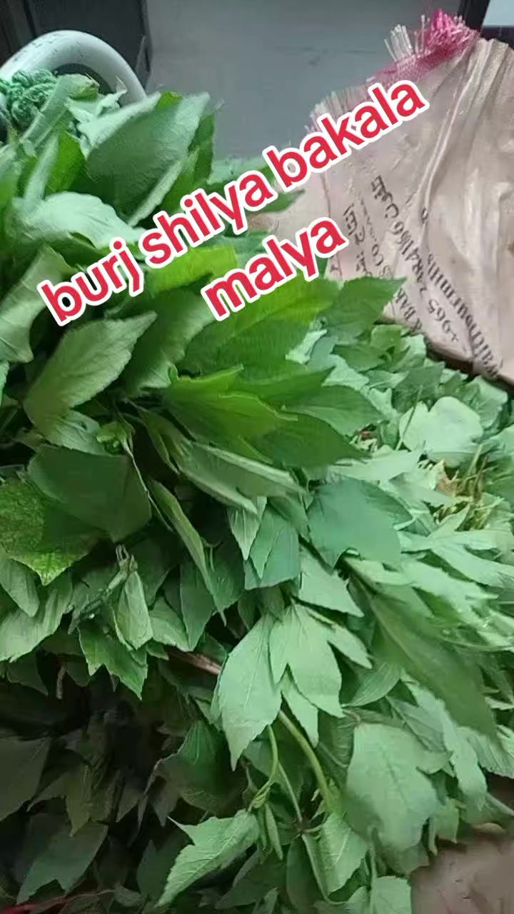@Josaph 1430