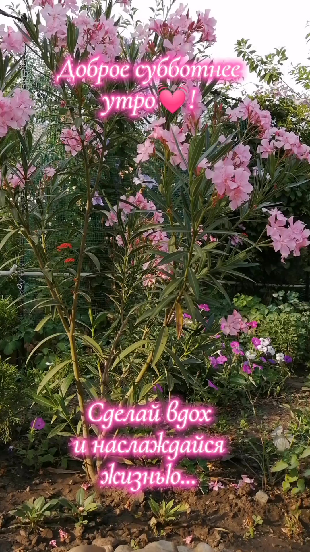 @Зинаида