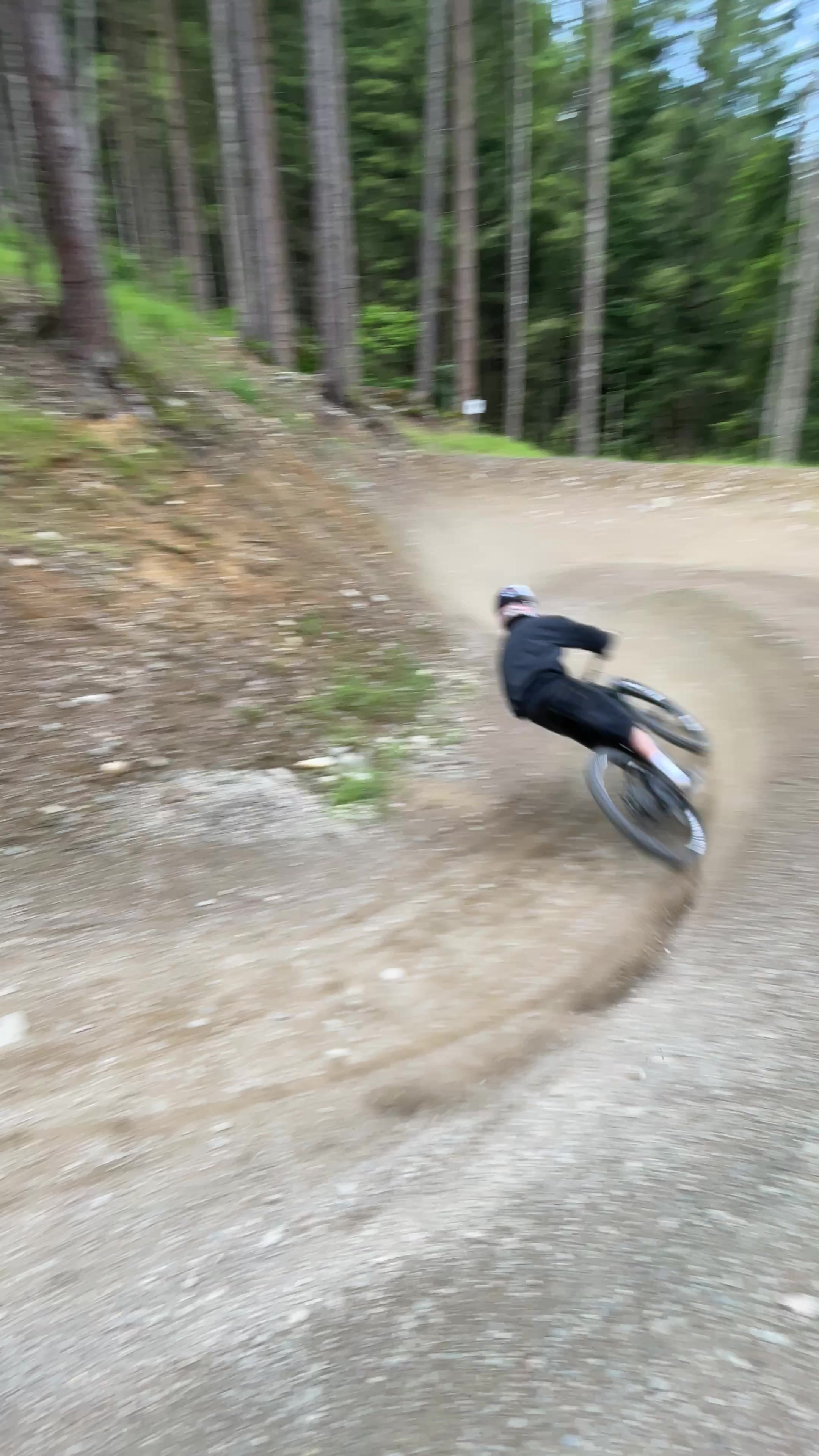 @🌲Freeride_Paul🌲