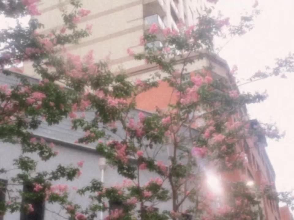 @𝘿𝙄𝙂𝙄𝙏𝘼𝙇𝙄𝙎