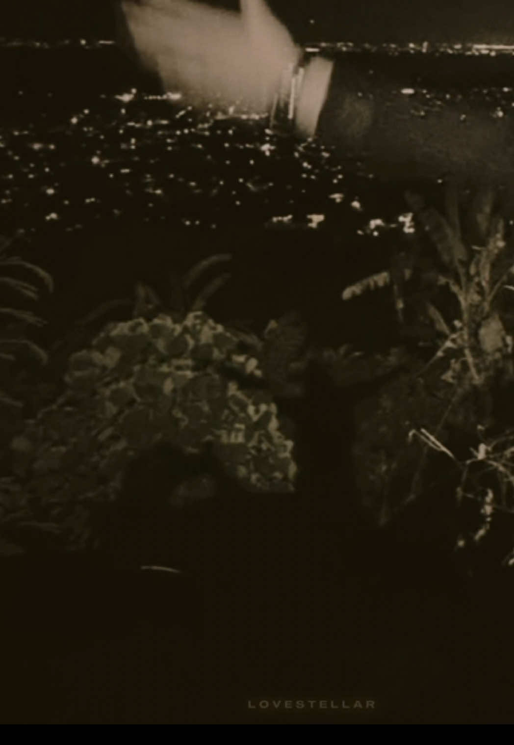 @𝘴𝘵𝘦𝘭𝘭𝘢 ͙͘͡★