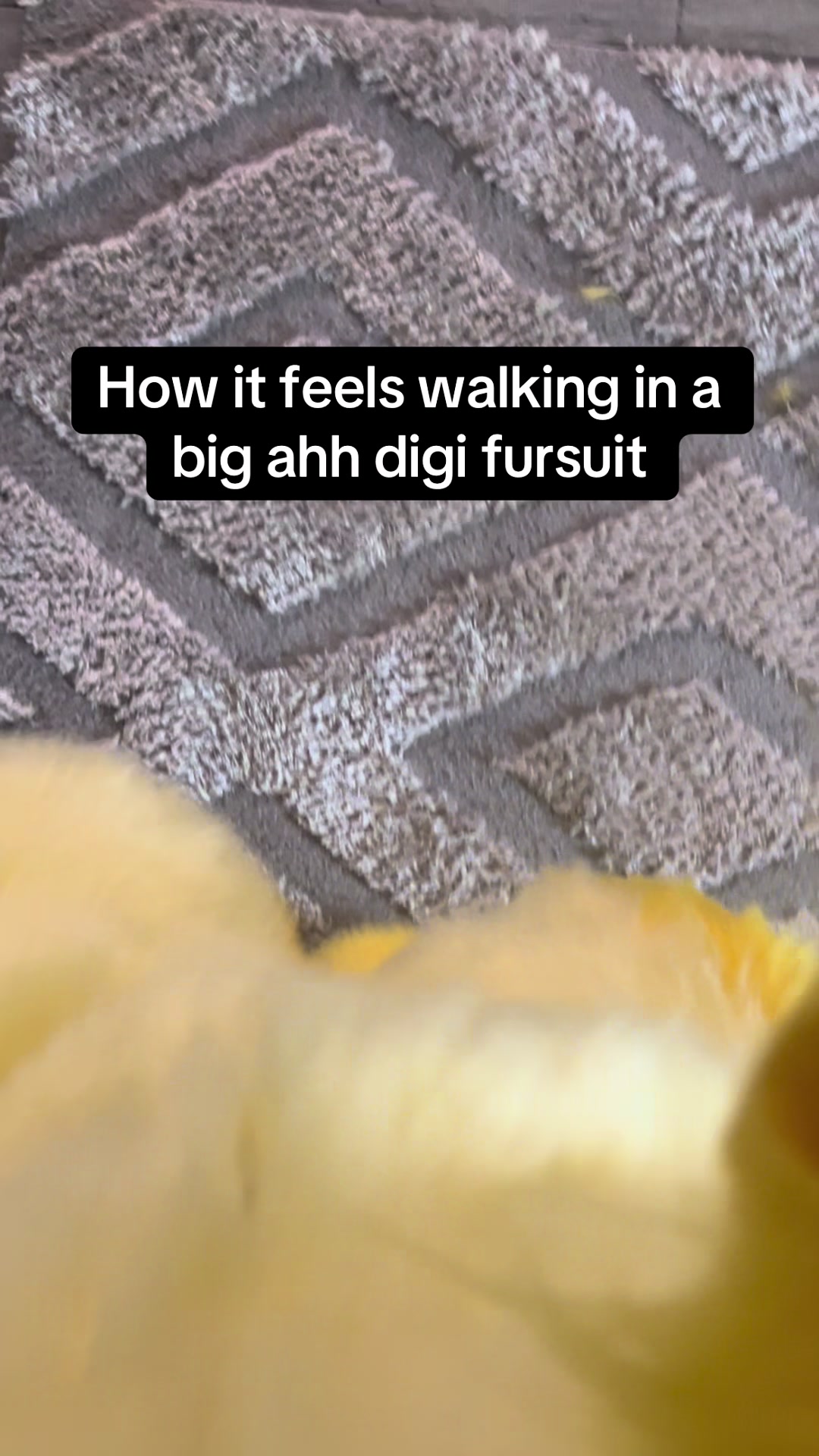 @Wolfyy!! ‼️‼️