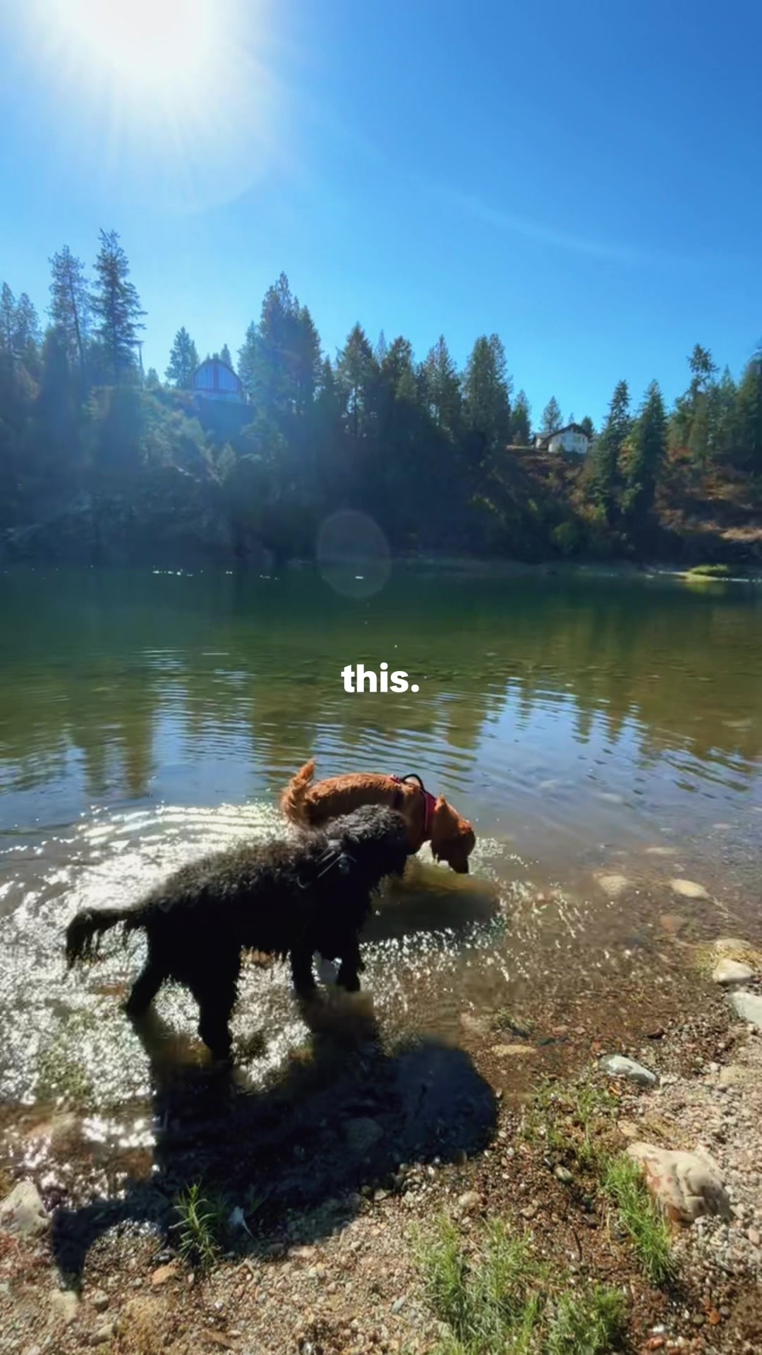 @LennyAndMaple