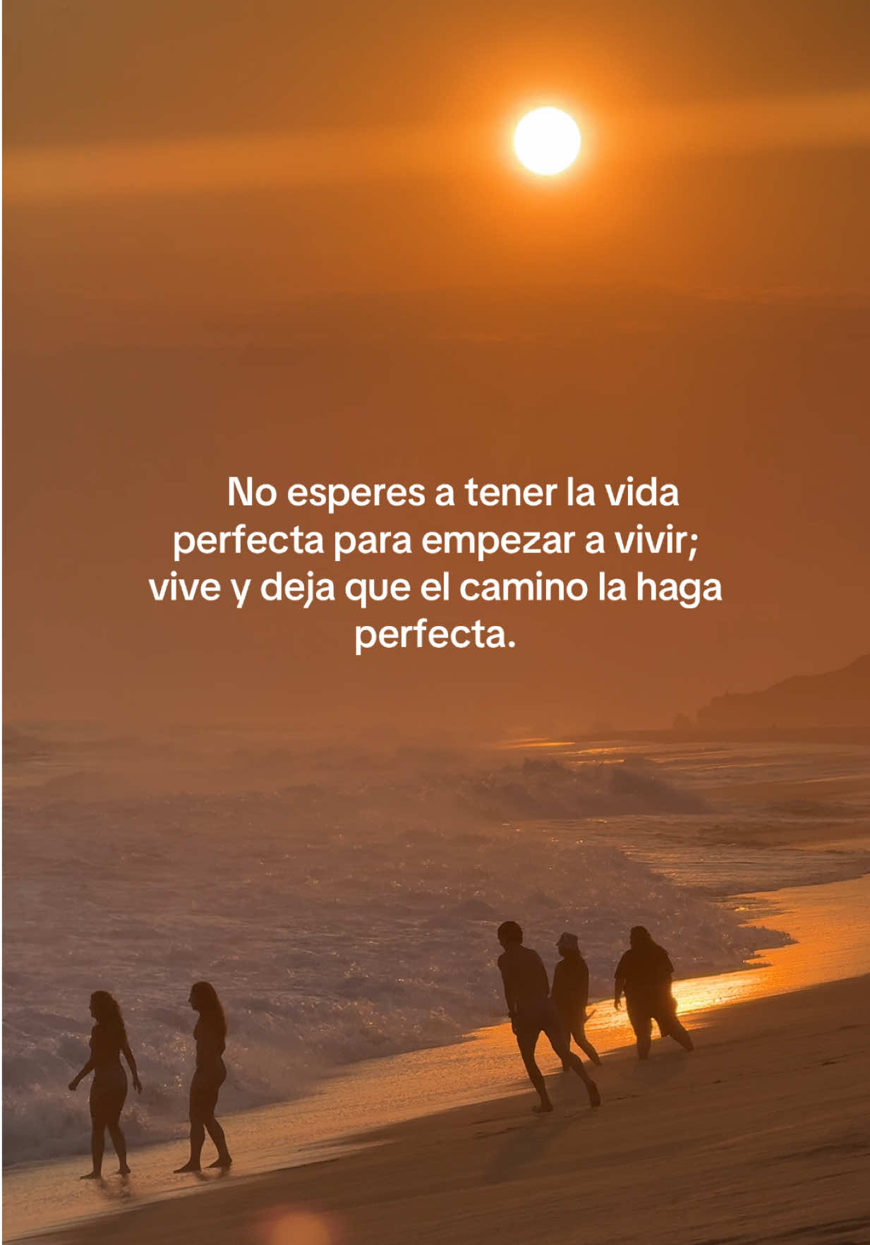 @nest_velarde