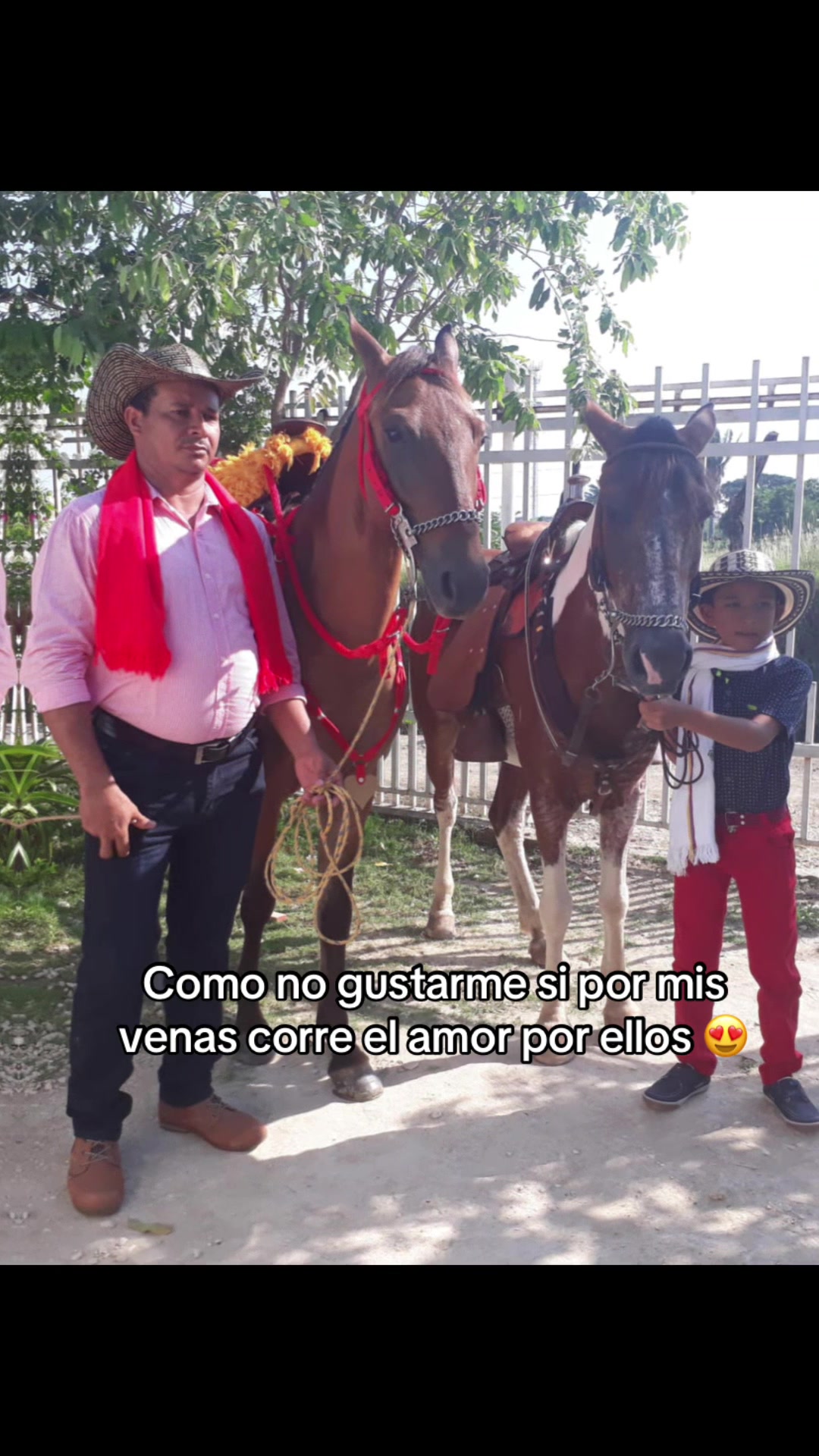 @jjulianbello