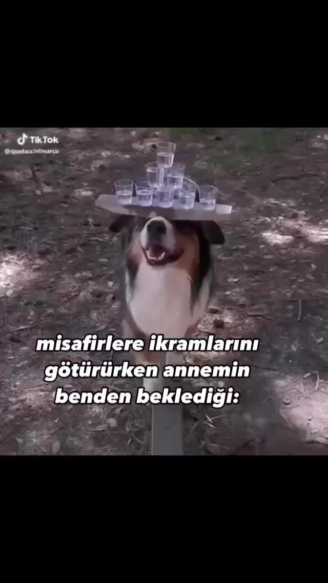 @floptropicaturkiye